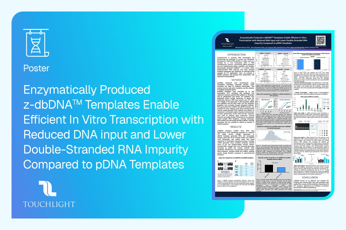 Enzymatically Produced z-dbDNA™ Templates Enable Efficient In Vitro Transcription with Reduced DNA input and Lower Double-Stranded RNA Impurity Compared to pDNA Templates