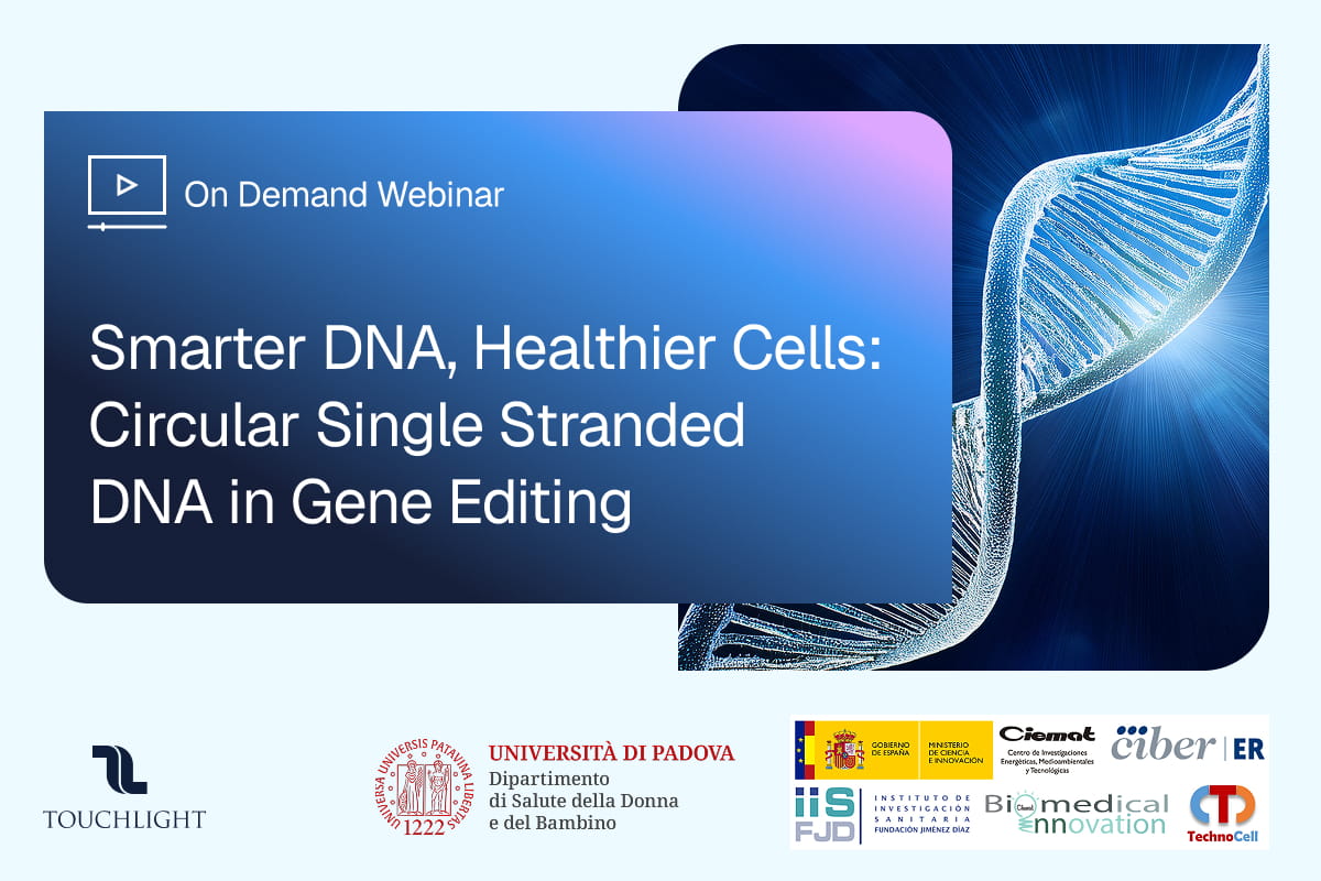 Smarter DNA, Healthier Cells: Circular Single‑Stranded DNA in Gene Editing